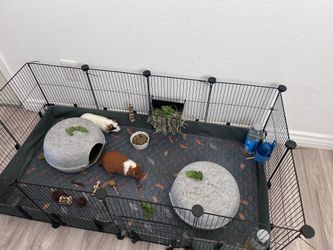 Cage