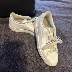 White Pumas