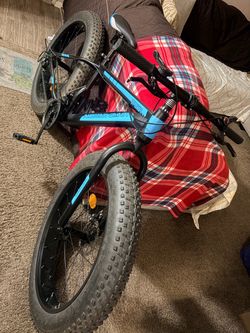 Fat tire bike