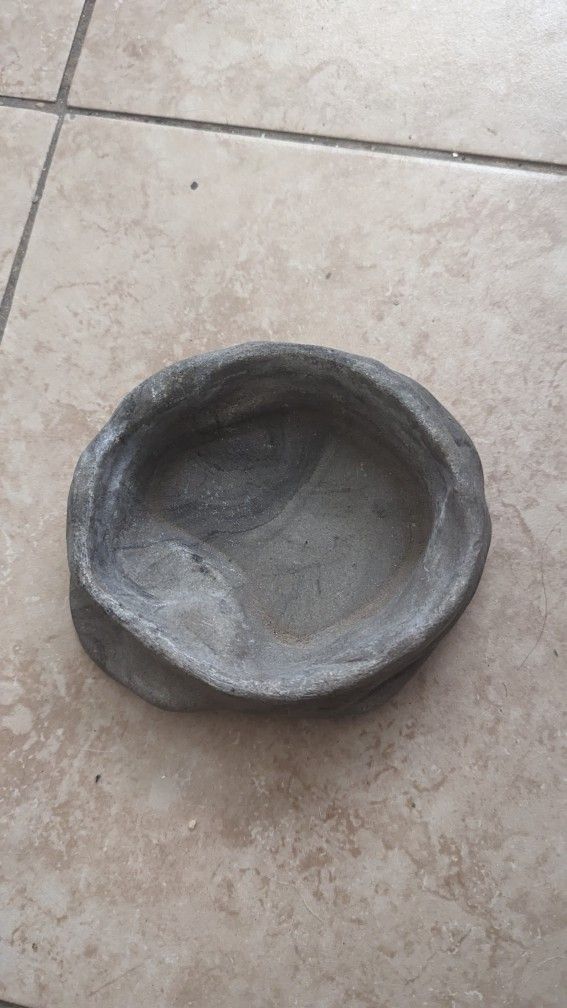 Reptile Lizard bowl