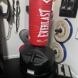 Everlast Freestanding Punching Bag