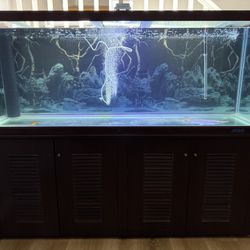 Aquarium Fish Tank Jebo 180G Display Show Tank with Stand, Accessories.