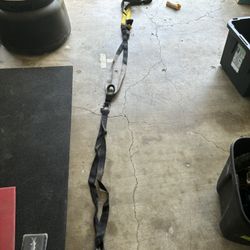 TRX Workout Straps