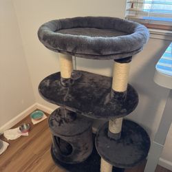 Cat Condo