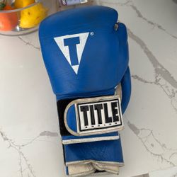 Title Boxing Gloves