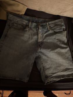 Levis jorts