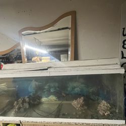 55 Gallon Fish Tank With Top 