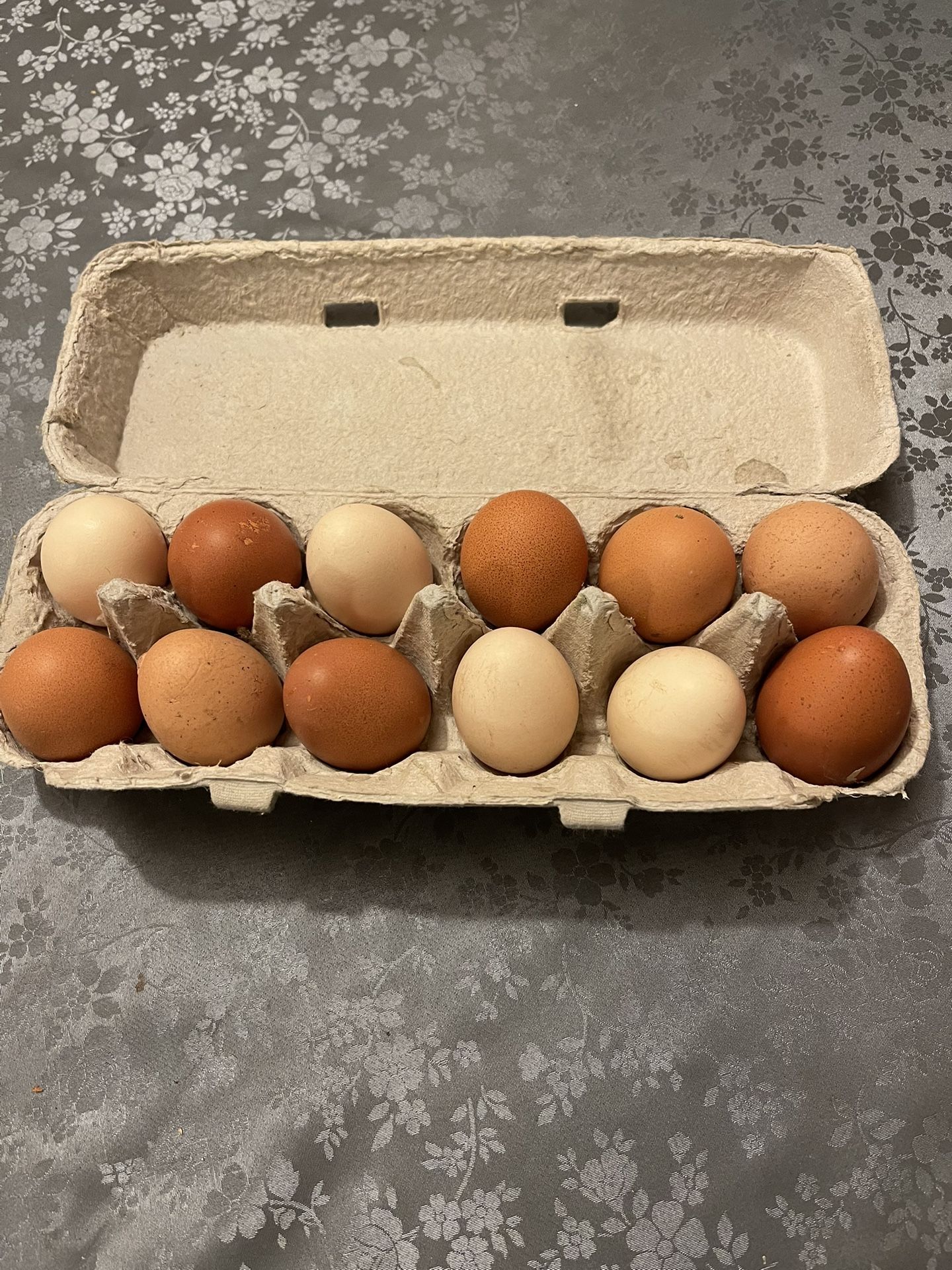 Organic Eggs!