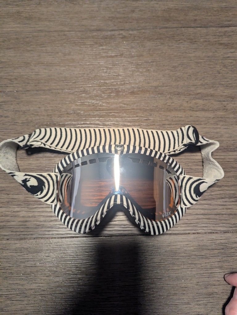 Dragon DX Goggles