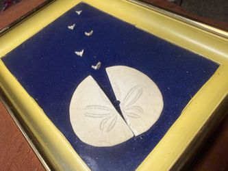 Sand dollar wall art