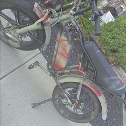 E bike