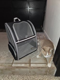 Car / Dog Carrier Backpack Heavy Duty