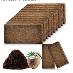 Planting