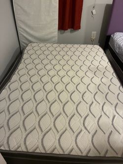 Bed mattress and Bed box spring