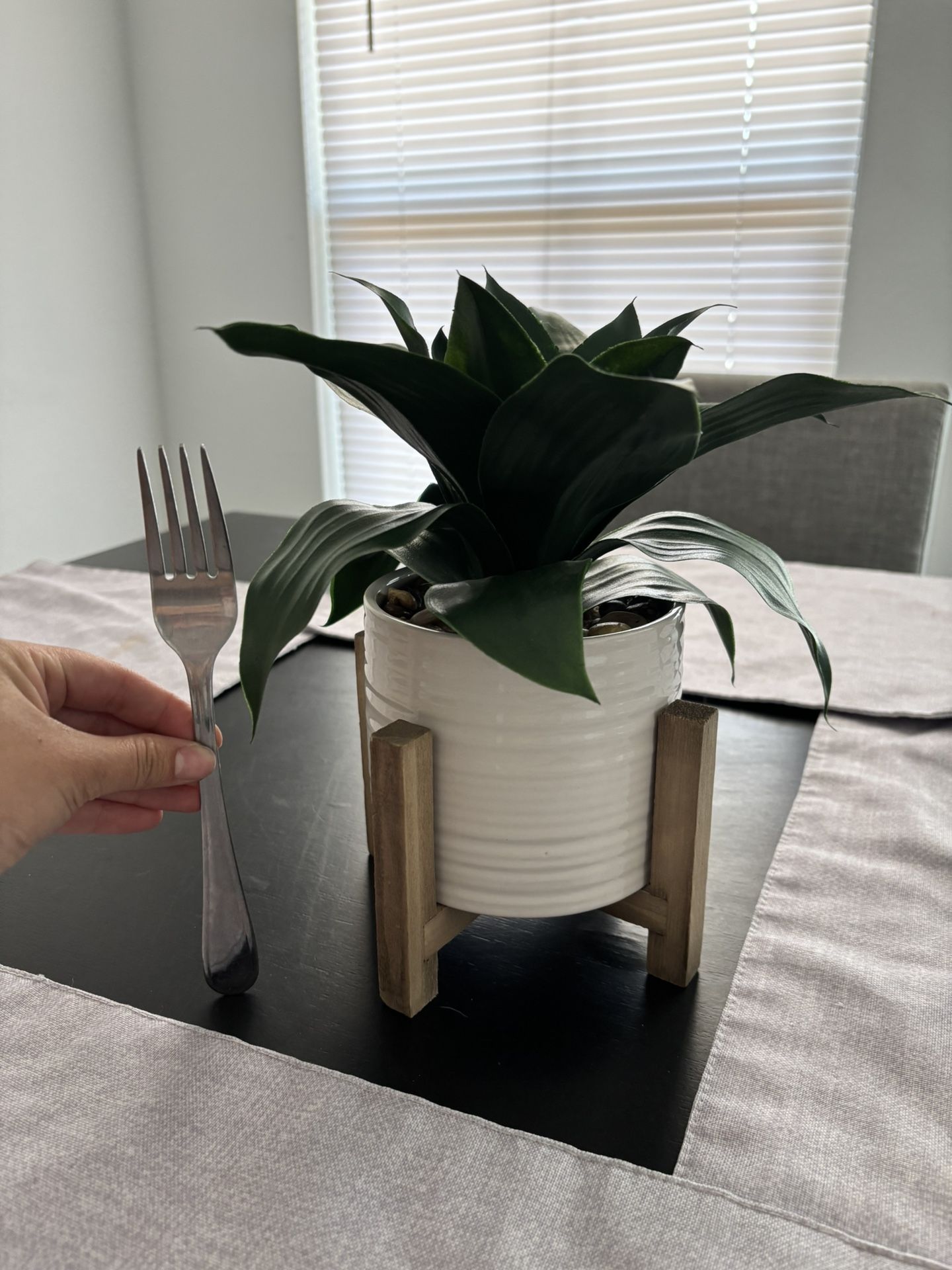 Fake/decorative Plant