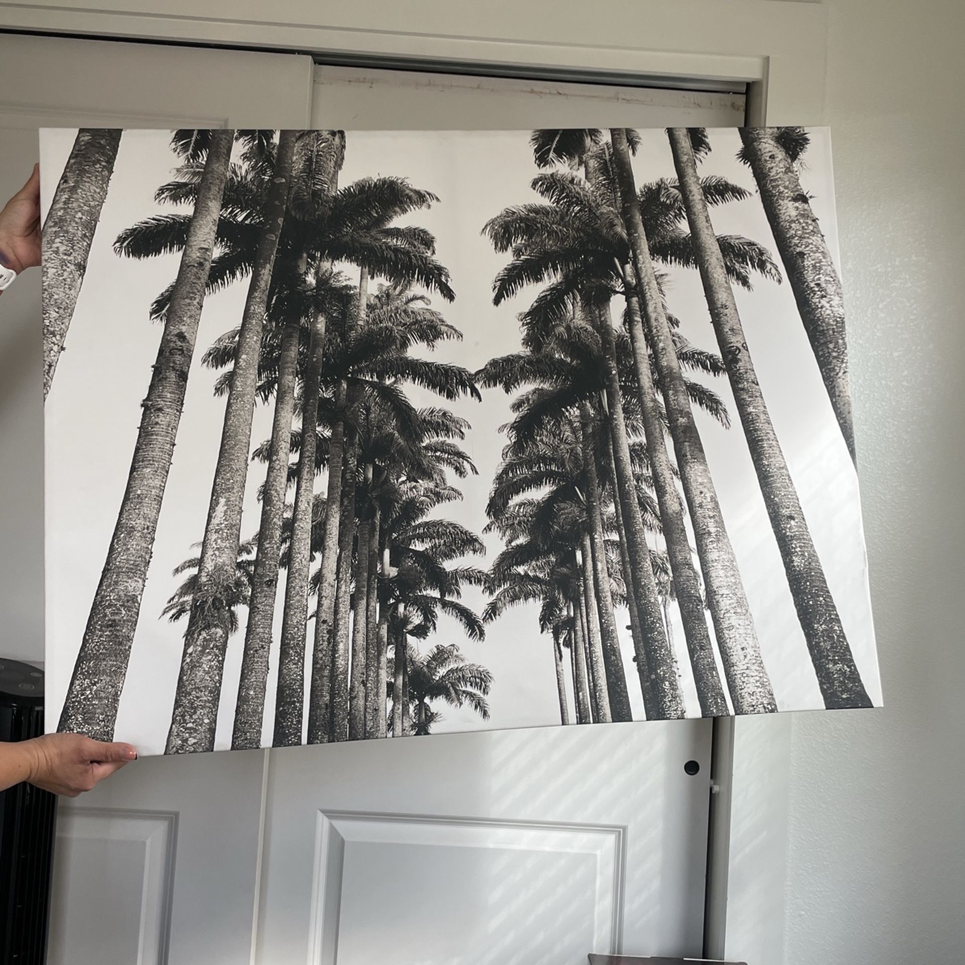 LA Tree Painting Black And White