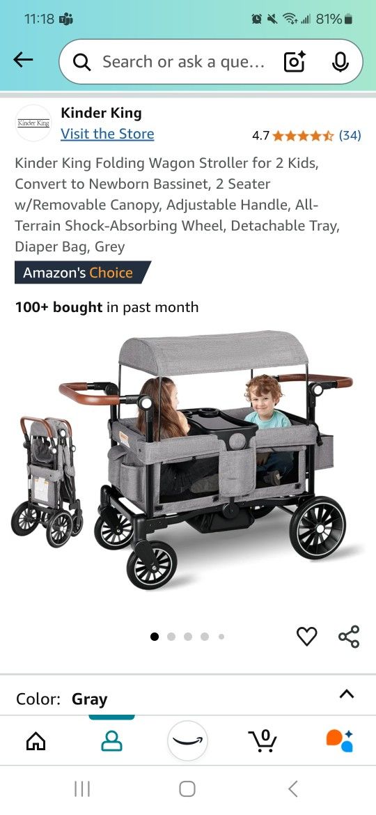 Folding Wagon Stroller