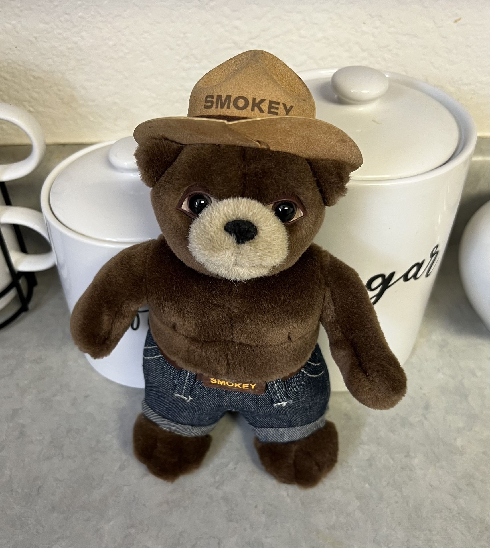 Vintage SMOKEY The Bear 2005 Stuffed Teddy Plush Animal 9”