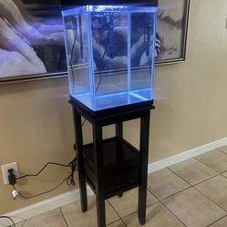 10 Gallon All In One Aquarium 