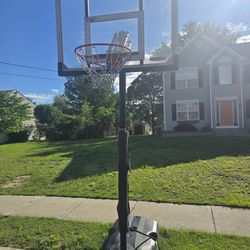 Lifetime Basketball Hoop