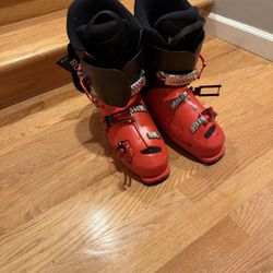 Ski Boots Mondo Size 265