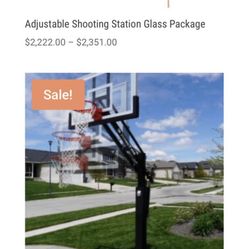 Future Pro Basketball Hoop