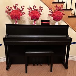 PIANO Suzuki