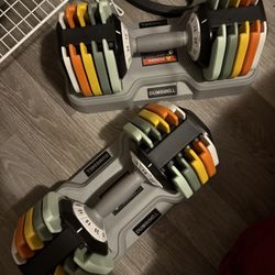 Adjustable Dumbbells 