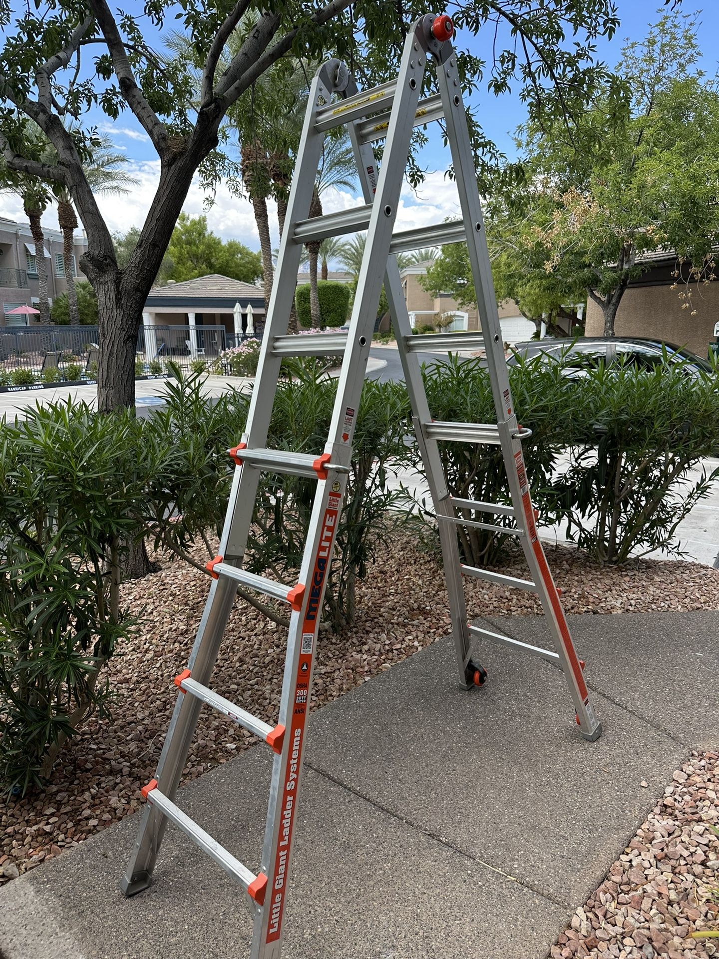 Little Giant Extendable Ladder