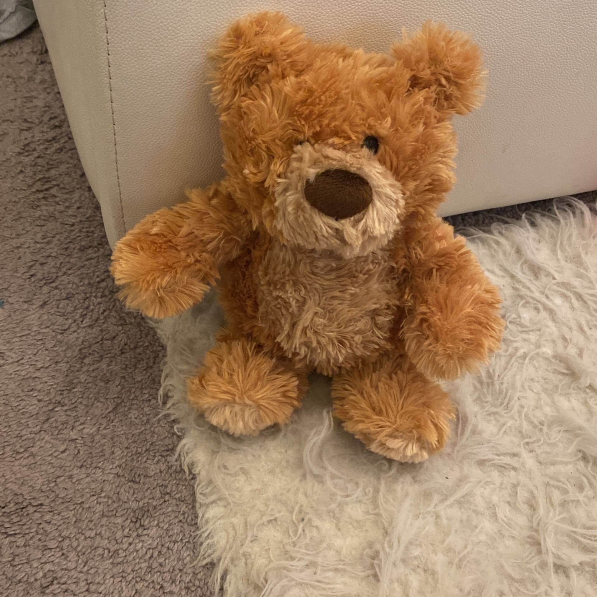 Teddy Bear