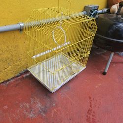 Bird Cage 