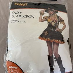 Women's Sassy Scarecrow Costume