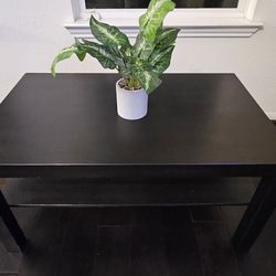 Need To Go Out TODAY! Coffee Table/ Center Table