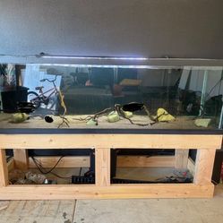 220 Gallon Tank w/ Stand