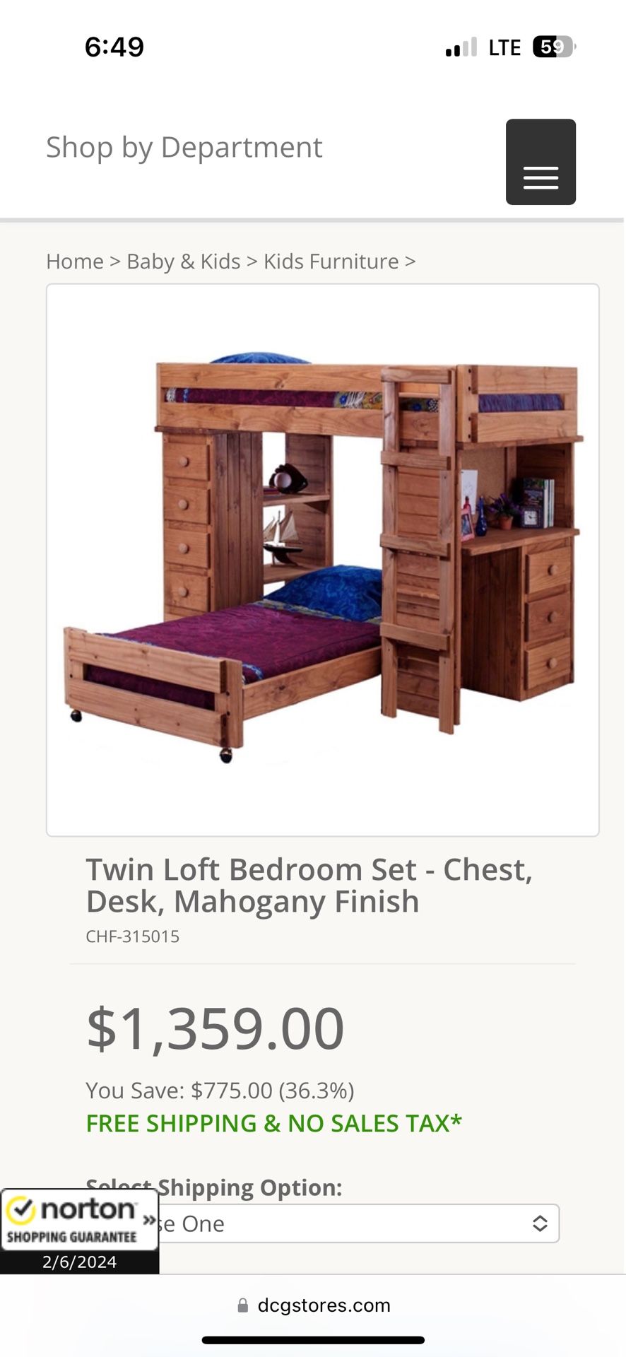 Twin Loft Bunk Bed