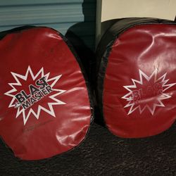 Blast Master Kicking Bags