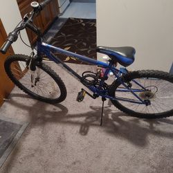  Roadmaster Mountain  Bike
