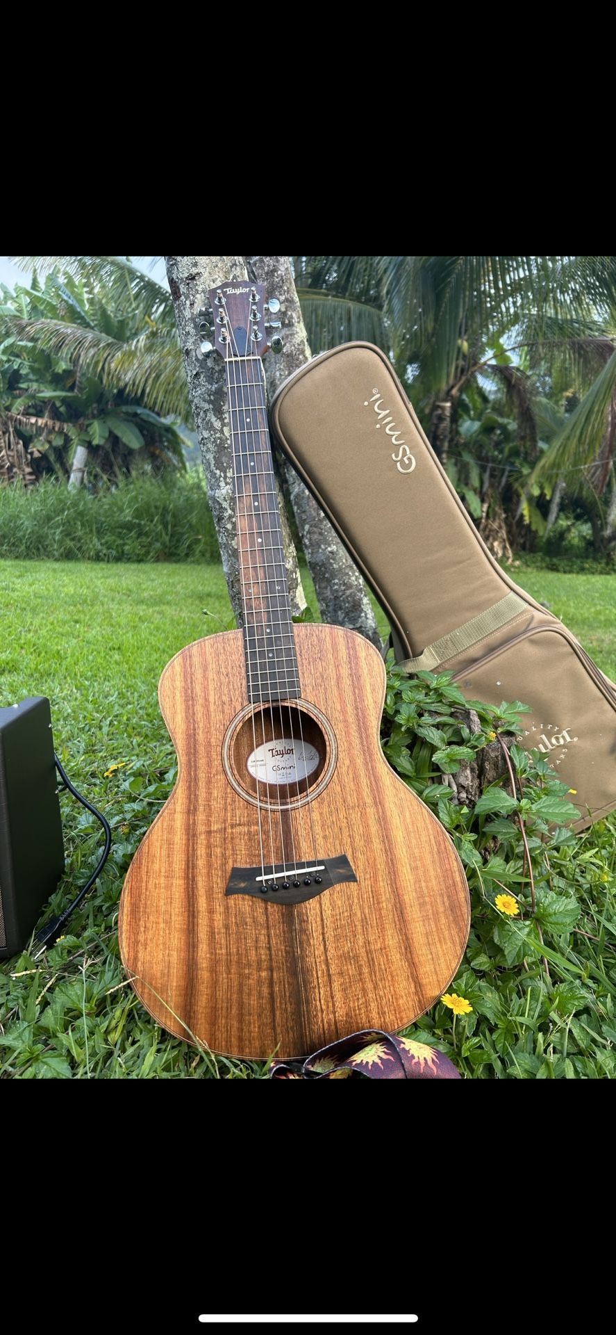 Taylor Mini Series Guitar 