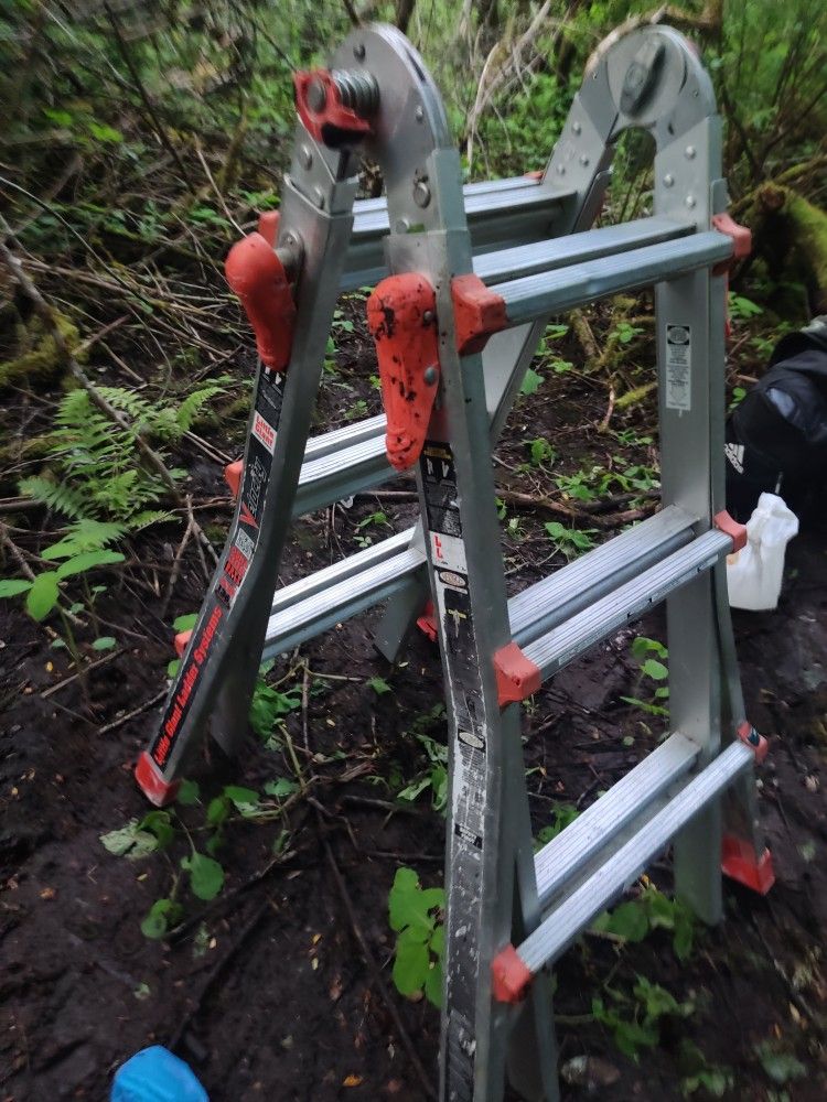 Little Giant Velocity Ladder