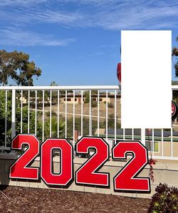 Red and Black Graduation Decorations / Grad Decor