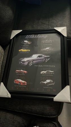 Mustang revolution framed picture
