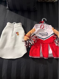 Dog Vest & Cheer Costume for Medium Size Dog