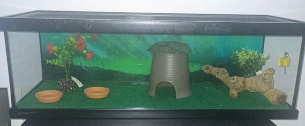 20 Gallons Long Reptile Amphibians Tank Kit Top Opening 