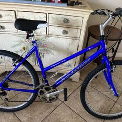 Schwinn Frontier Upright Bicycle SERVICED