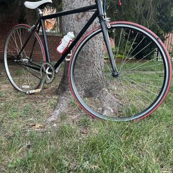 Fixie Bike 