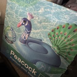 Inflatable Peacock For Pool Summertime
