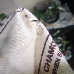 Small Diamond Ring
