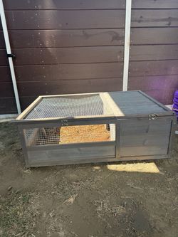 Reptile Enclosure Tank
