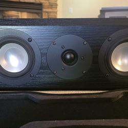 RBH 441-SE Center Speaker