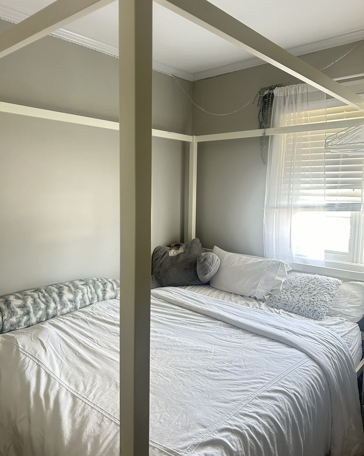 Queen Bed ( With Canopy)